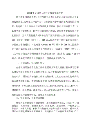 2023年直辖市开展全国第五次经济普查专项实施方案 合计3份.docx