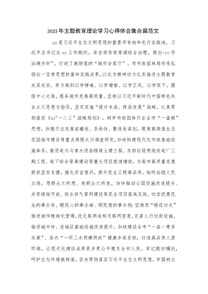 2023年主题教育理论学习心得体会集合篇范文.docx