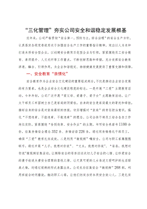经验汇报：“三化管理”夯实公司安全和谐稳定发展根基.docx