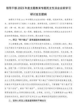 领导干部2023年度主题教育专题民主生活会会前学习研讨发言提纲.docx