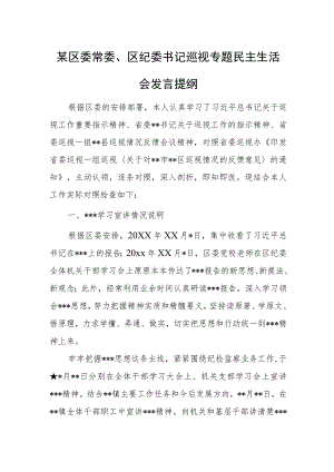 某区委常委、区纪委书记巡视专题民主生活会发言提纲.docx