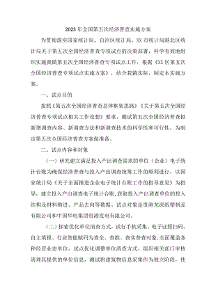 市区2023年开展全国第五次经济普查专项实施方案.docx