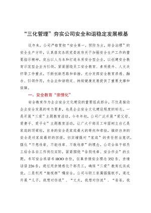 三化管理”夯实公司安全和谐稳定发展根基.docx