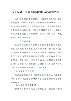 XX区统计基层基础巩固年活动实施方案.docx