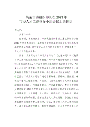 某某市委组织部长在2023年市委人才工作领导小组会议上的讲话.docx