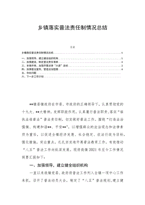 乡镇落实普法责任制情况总结.docx