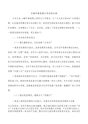 乡镇开展党建工作总结汇报.docx