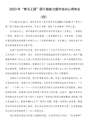 2023年“青马工程”团干部能力提升培训心得体会（四）.docx