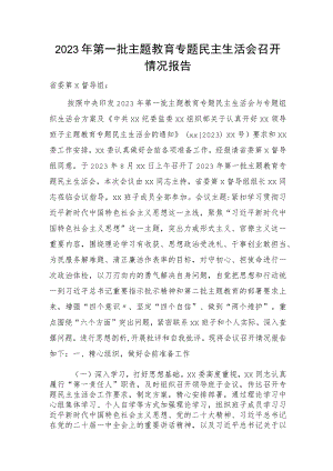 第一批主题教育专题民主生活会召开情况总结报告3000字.docx