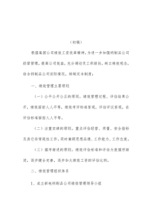 新电钙制品公司绩效管理制度.docx