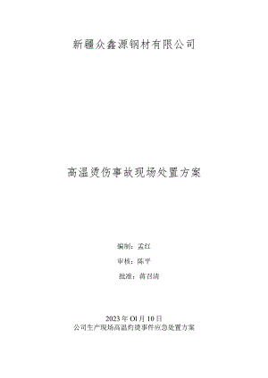 高温烫伤现场处置方案.docx