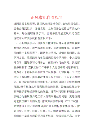 正风肃纪自查报告.docx