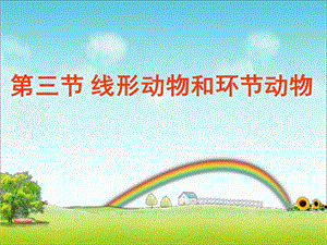 43第三节线形动物和环节动物.ppt