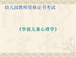 幼儿心理学课件定稿.ppt