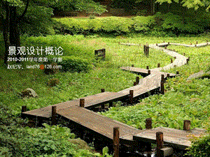 景观设计树.ppt