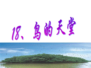 3鸟的天堂1.ppt