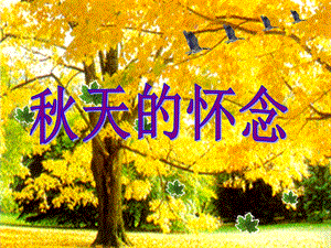 5天的怀念3.ppt