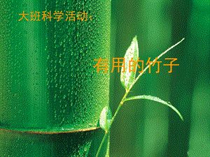幼儿园大班科学活动：有用的竹子.ppt