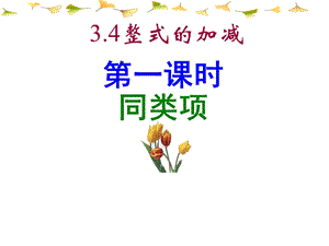 3.4整式的加减同类项.ppt