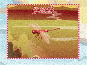 3红蜻蜓课件.ppt