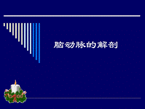 脑动脉的解剖.ppt