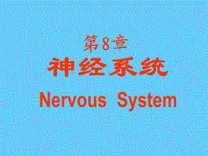 脑神经系统神经系统.ppt