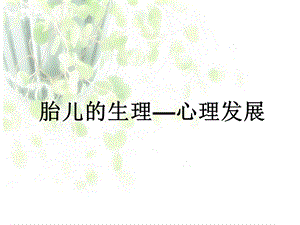 胎儿的生理心理发展.ppt