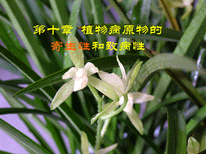 植物病原物的寄生性和致病性.ppt