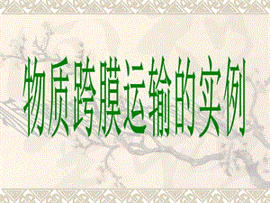 物质跨膜运输的实例PPT.ppt