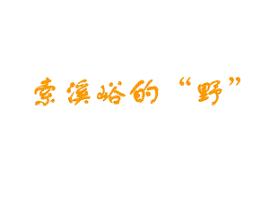 4.索溪峪的“野”.ppt.ppt