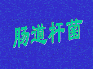肠道杆菌课件.ppt
