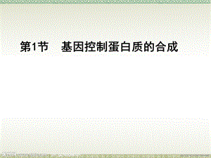 4.1基因指导蛋白质的合成说课课件宋甜甜.ppt