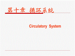10循环系统z.ppt