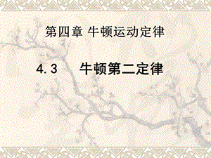 4.3牛顿第二定律.ppt
