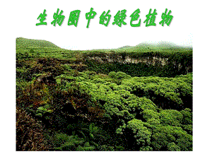 311藻类、苔藓和蕨类植物课件[1].ppt