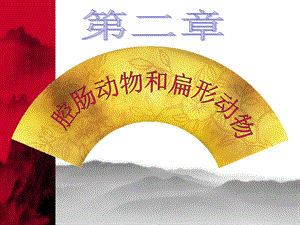 42第二节腔肠动物和扁形动物.ppt