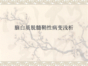 脱髓鞘病变朱丹大连医科大学.ppt