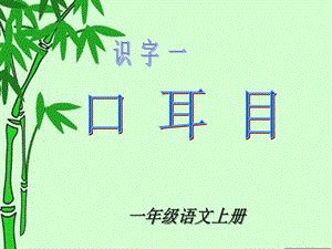 2口耳目课件1.ppt