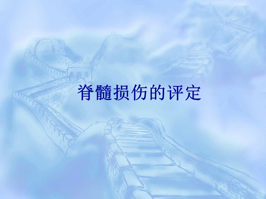 脊髓损伤的评定.ppt_第1页