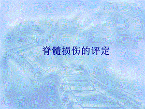 脊髓损伤的评定.ppt