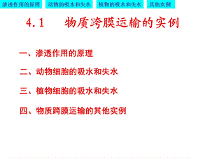 物质跨膜运输的实例优质课凤.ppt