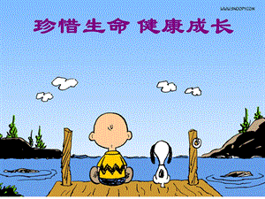 珍爱生命主题班会课件.ppt