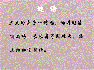 盲人摸象1.ppt