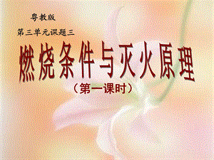 3.1燃烧条件与灭火原理微课.ppt