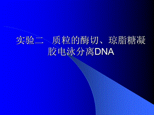 质粒的酶切琼脂糖凝胶电泳分离DNA.ppt