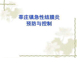 莘庄镇急性结膜炎预防与控制.ppt