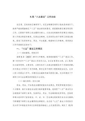 2023XX局“八五普法”工作总结共10篇.docx