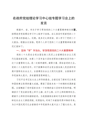 在政府党组理论学习中心组专题学习会上的发言.docx