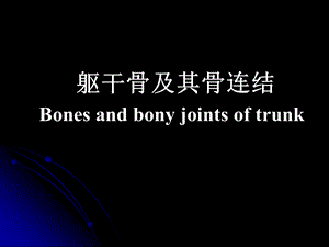 躯干骨及其骨连结.ppt