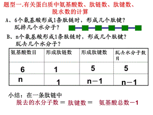 蛋白质计算题.ppt